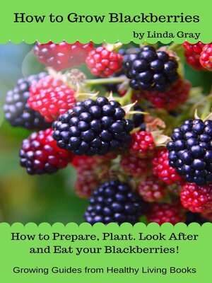 cover image of How to Grow Blackberries